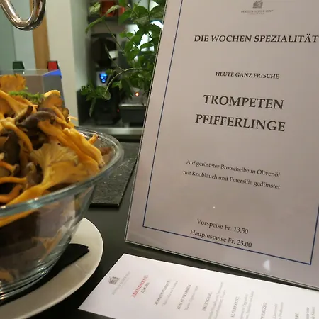 Pensiun Aldier 3* Sent