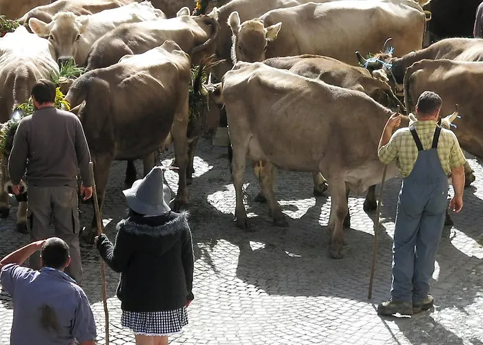Hotel Pensiun Aldier Sent GR