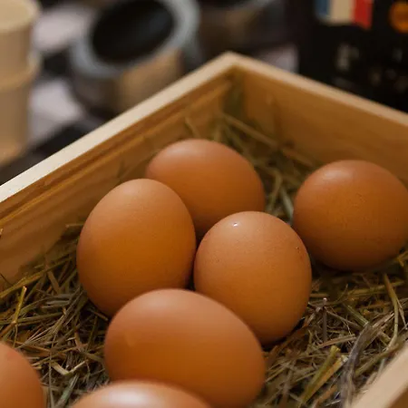 Pensiun Aldier